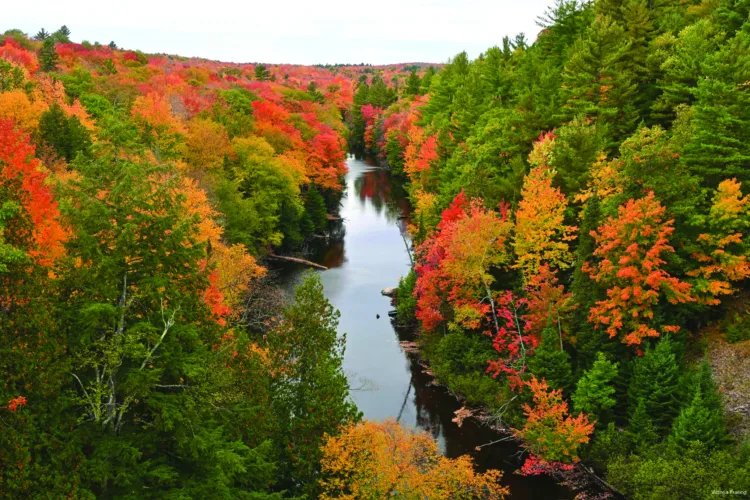 Brilliant colors accent countryside